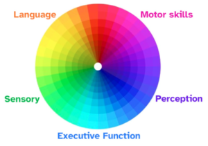 This image shows 5 typical components of an autistic persons "spectrum" of abilities. These include language, motor skills, sensory skills, perception, and executive function. The image is a circle allowing for infinite types of overlap, highlighting that performance or need for support in one area is not a predictor of another.