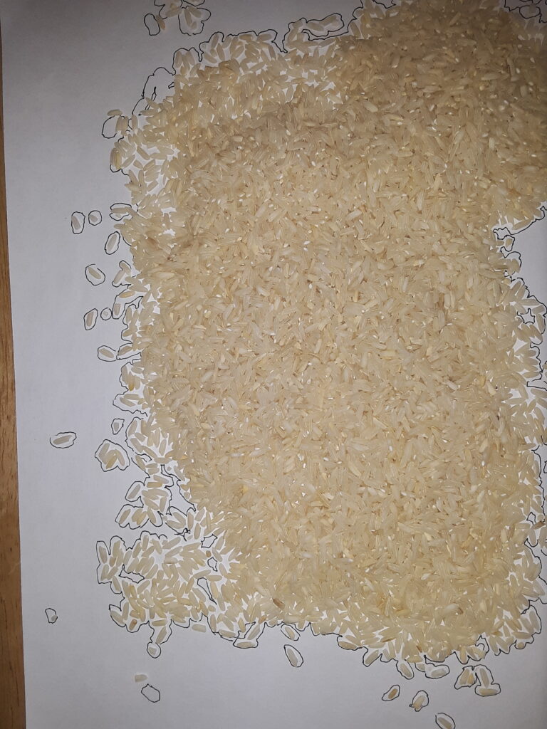 Cartography Fun: Make a Map and Create a World – STAR Net Community