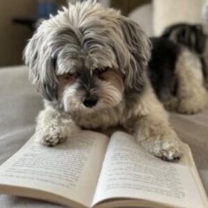 Profile photo of Mary Torgerson