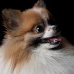 Profile photo of Marie Joyce