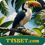 Profile photo of qwe user