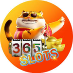 Profile photo of qwe user